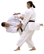 Aikido Throw